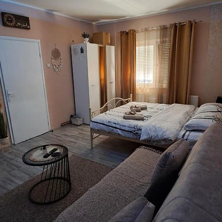 Apartman Iva Zaječar Extérieur photo