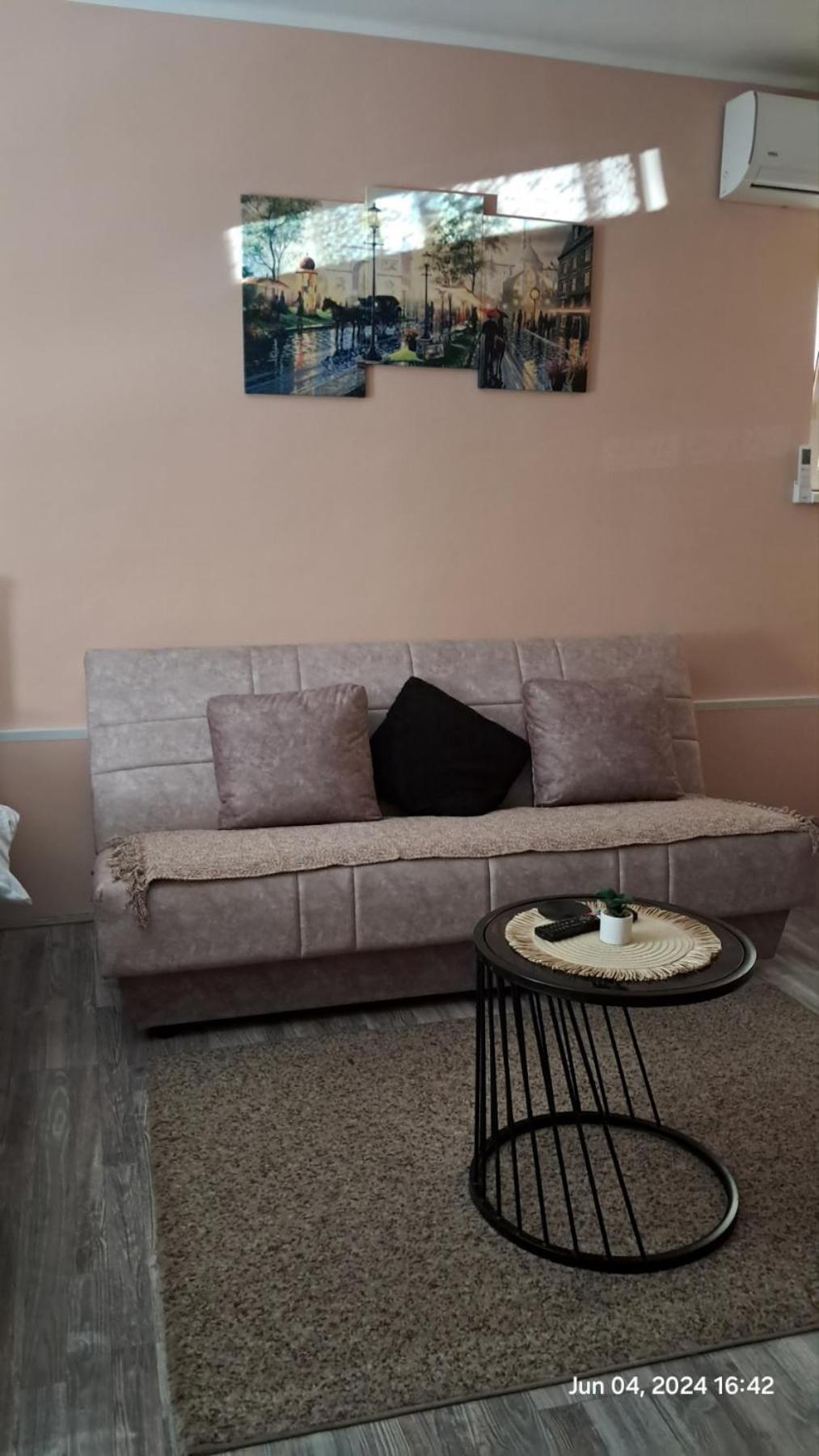 Apartman Iva Zaječar Extérieur photo